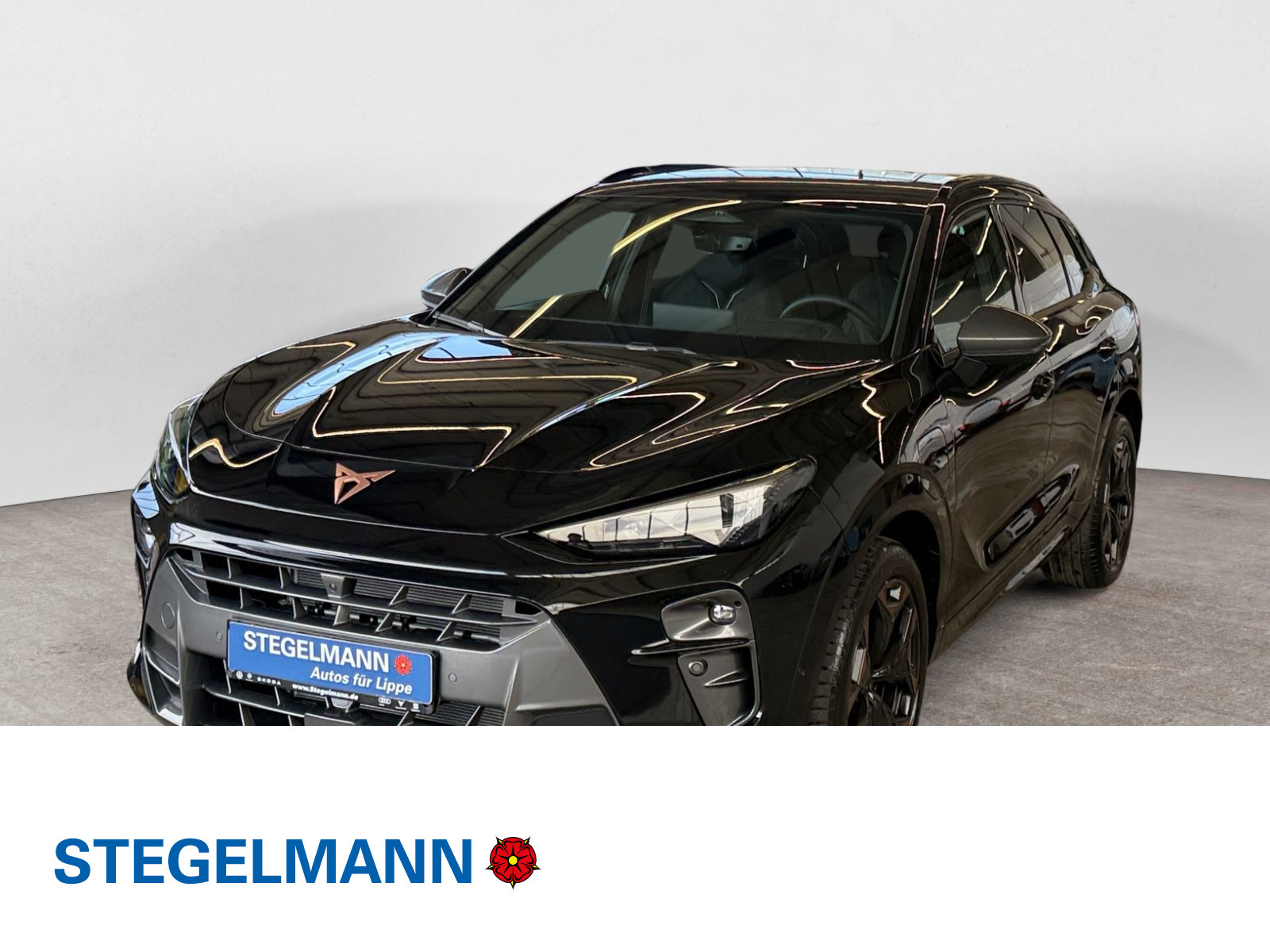 Cupra - Terramar_1