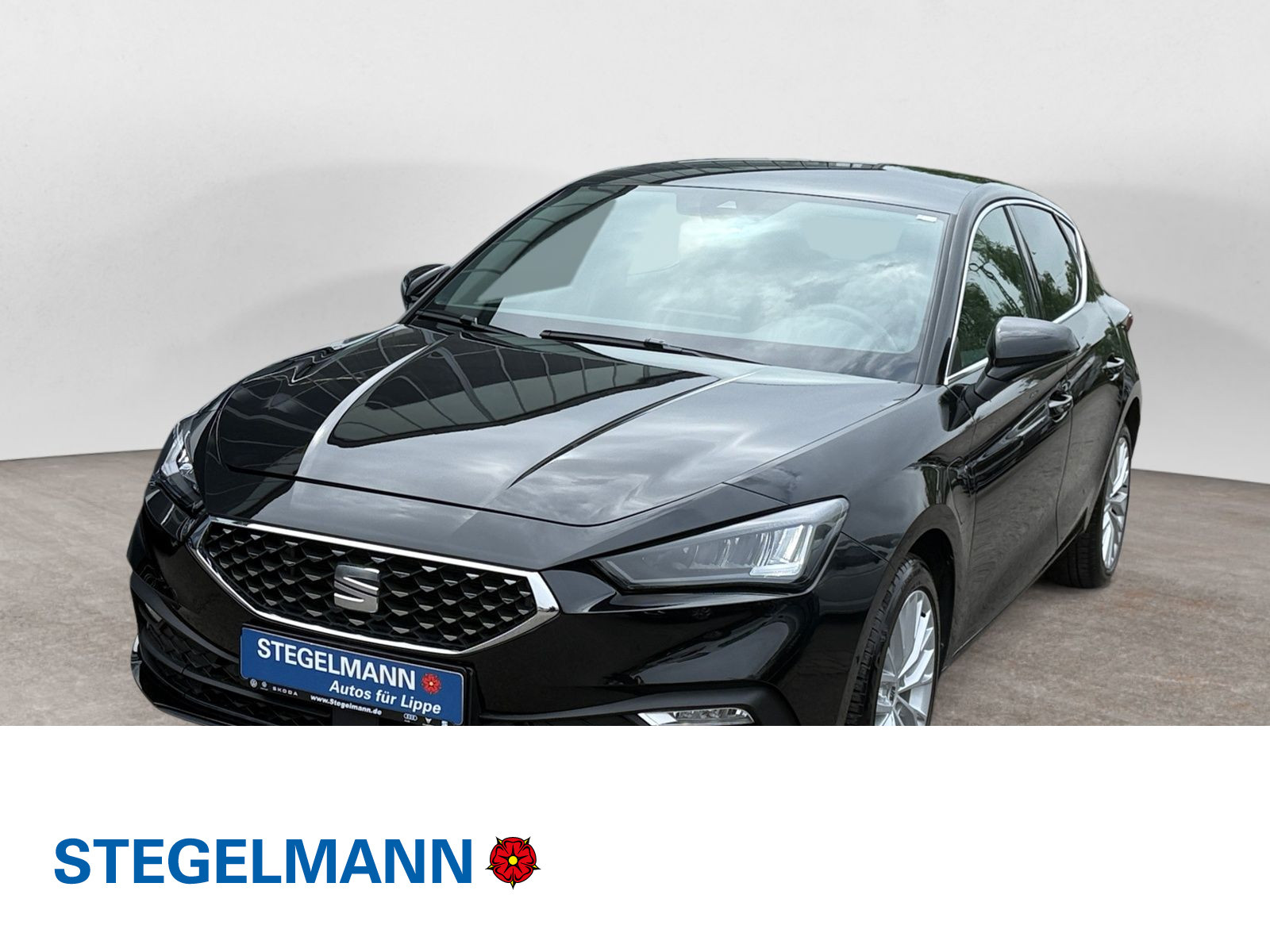 Seat - Leon_1