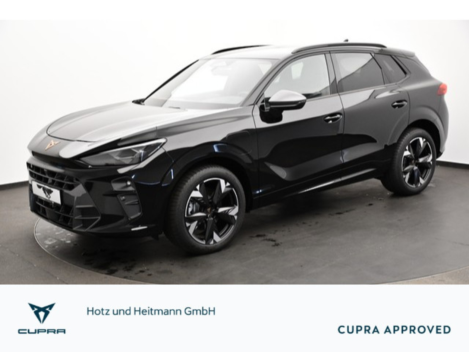 Cupra - Terramar_1