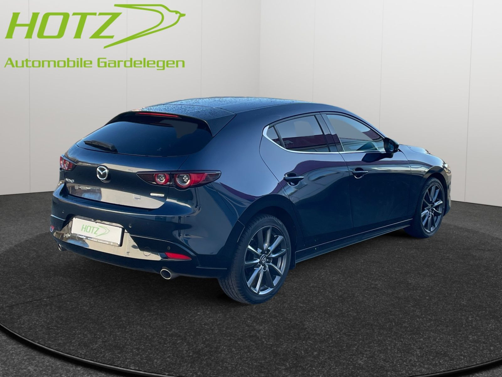 diagonalansicht-hinten-aussen