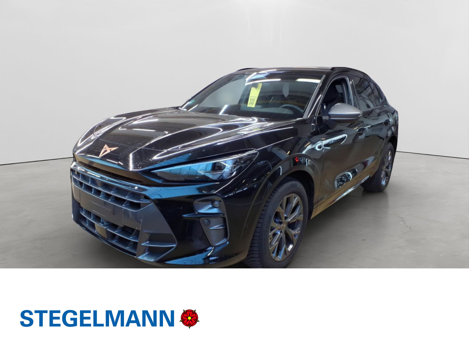 Fahrzeugbild_1