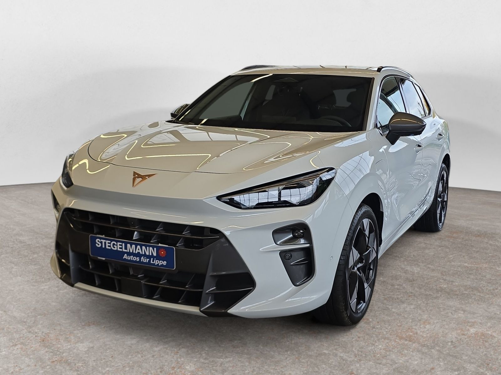 diagonal-frontansicht-aussen