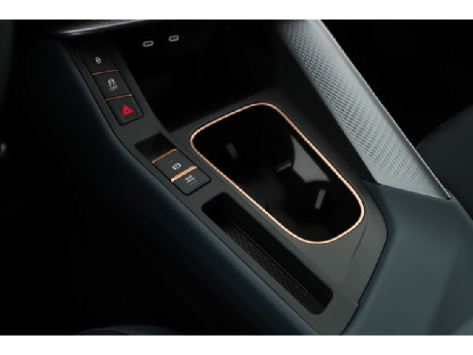 Cupra - Terramar_13