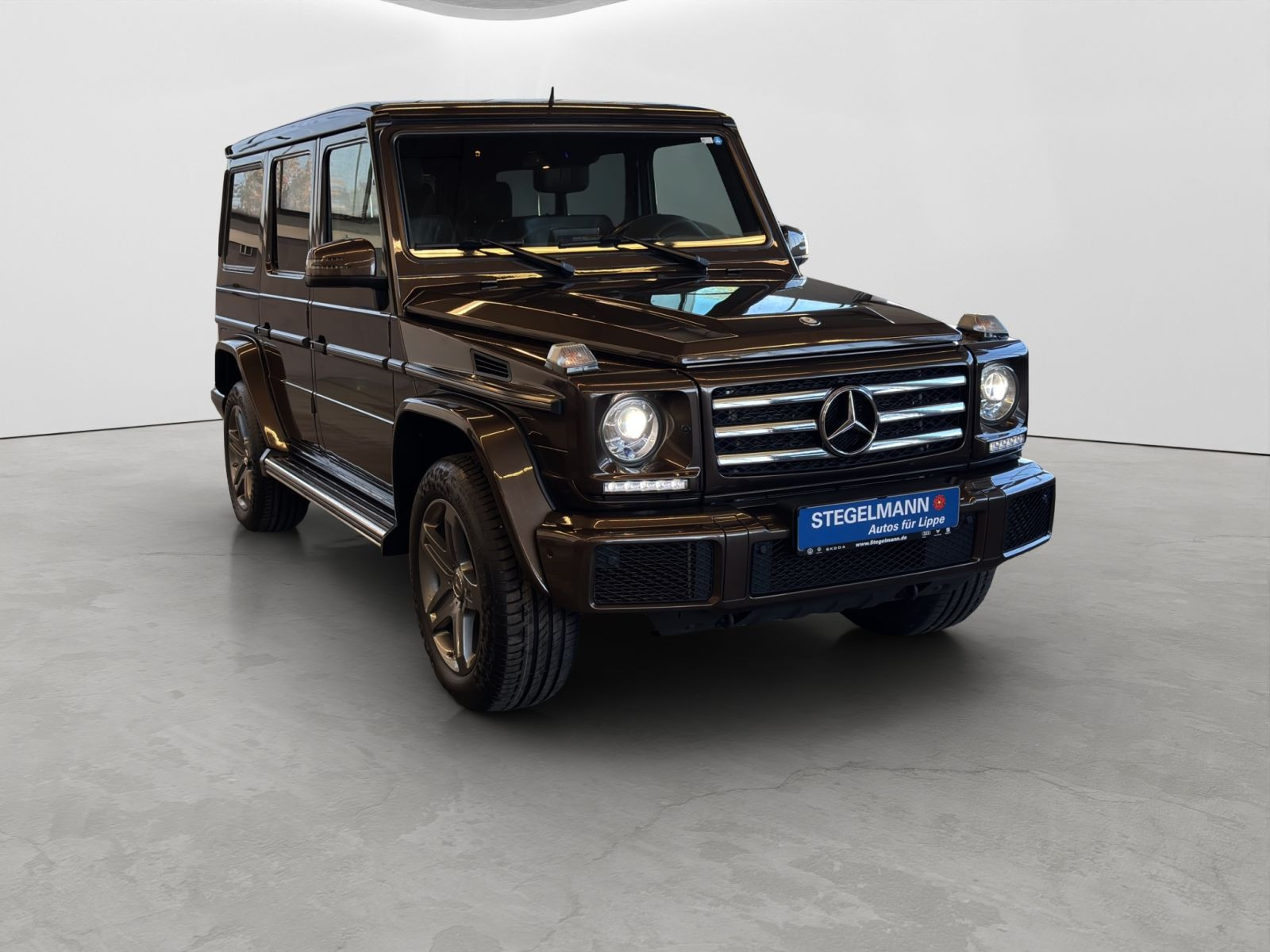 Mercedes-Benz - G 350_8