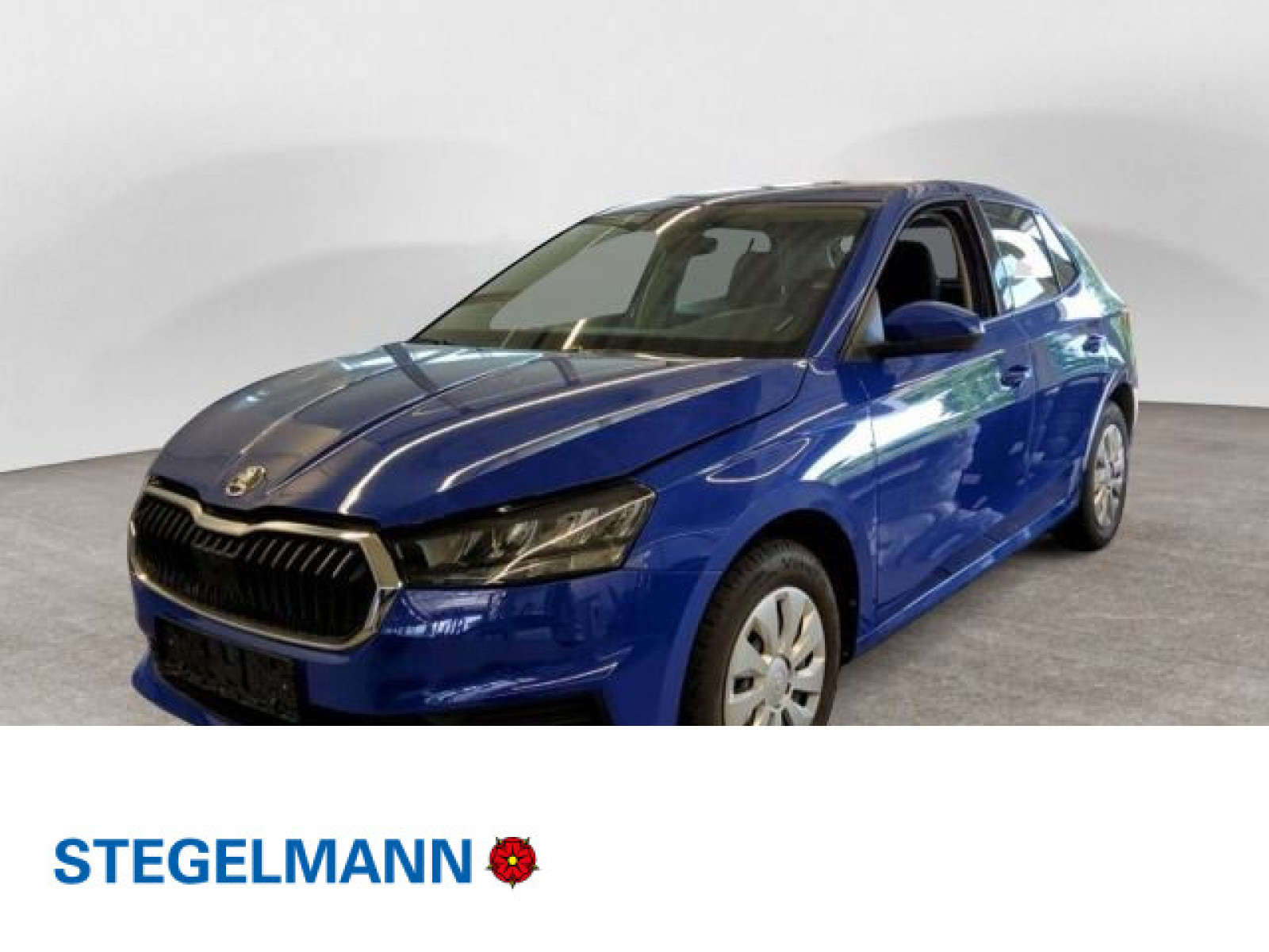 Fahrzeugbild_1