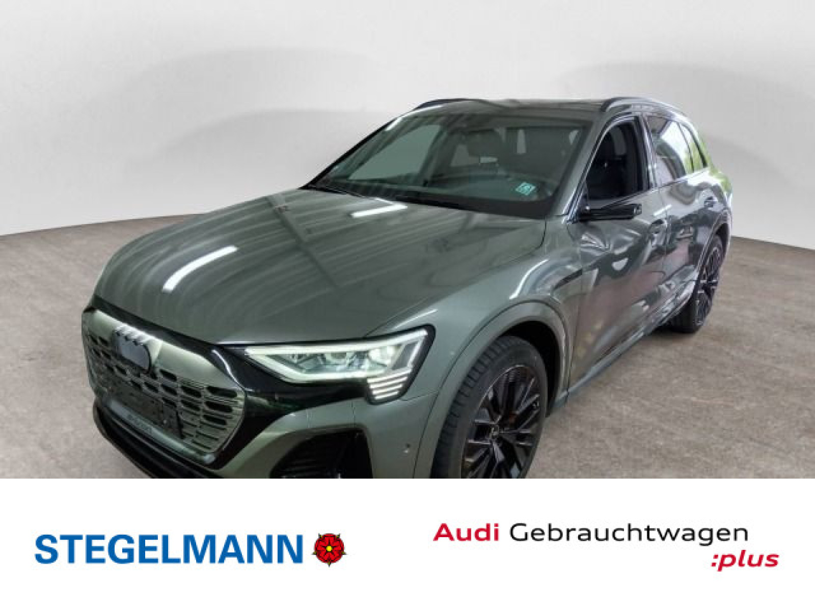 Audi - Q8 e-tron_1