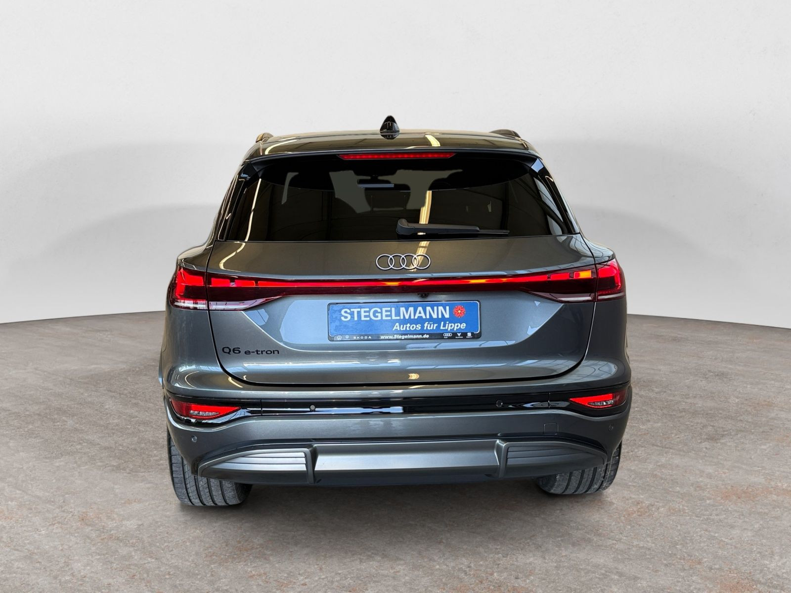 Audi - Q6 SUV e-tron_5