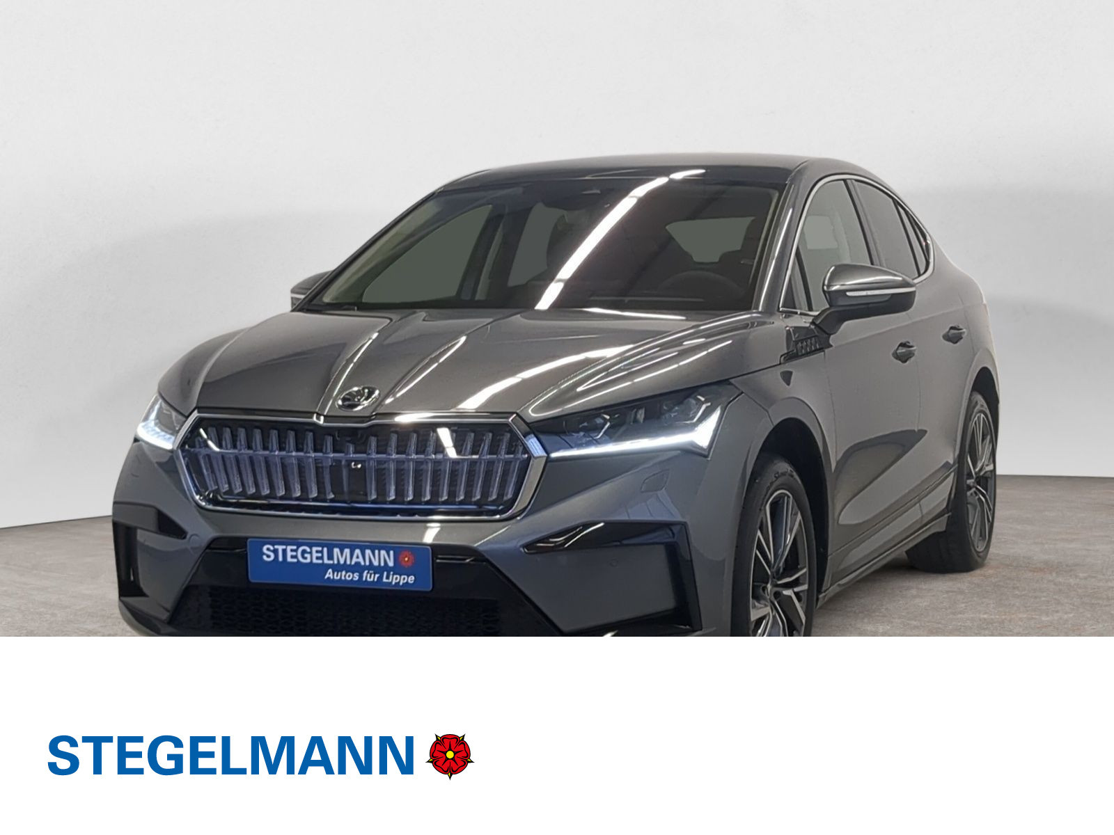 Škoda - Enyaq_1