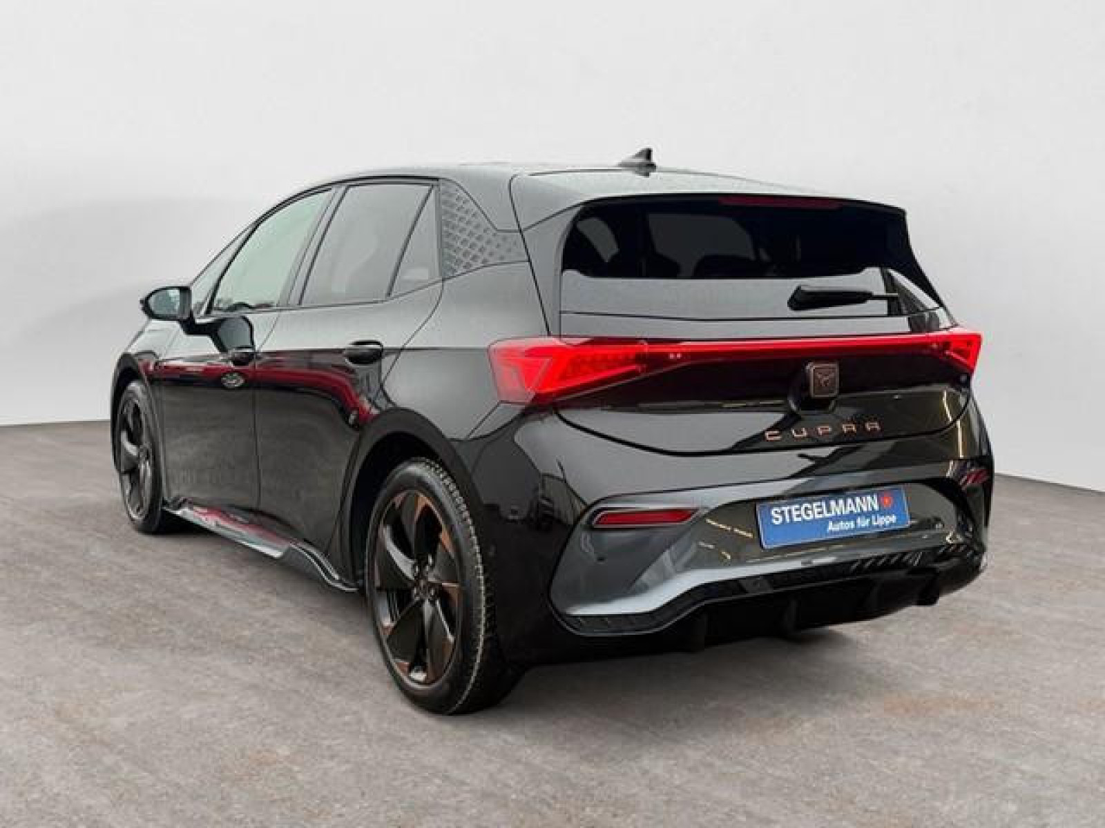 diagonalansicht-hinten-aussen