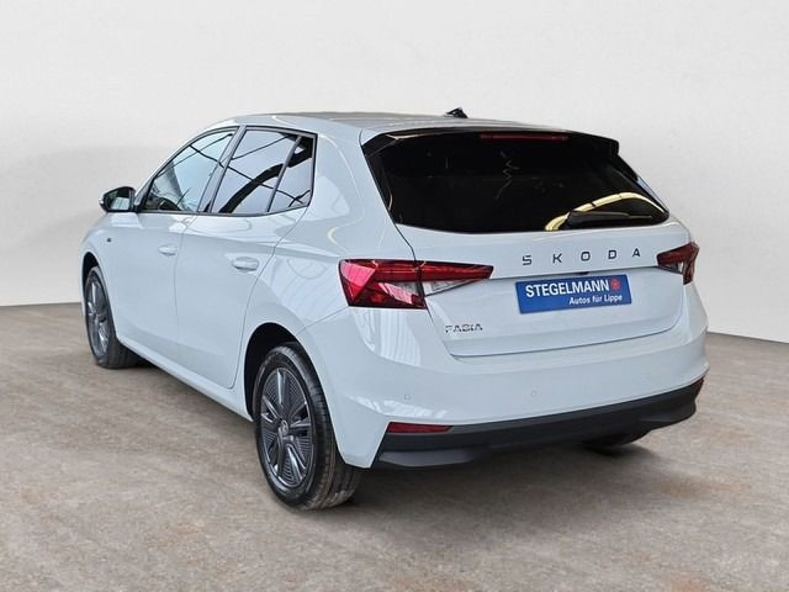 diagonalansicht-hinten-aussen