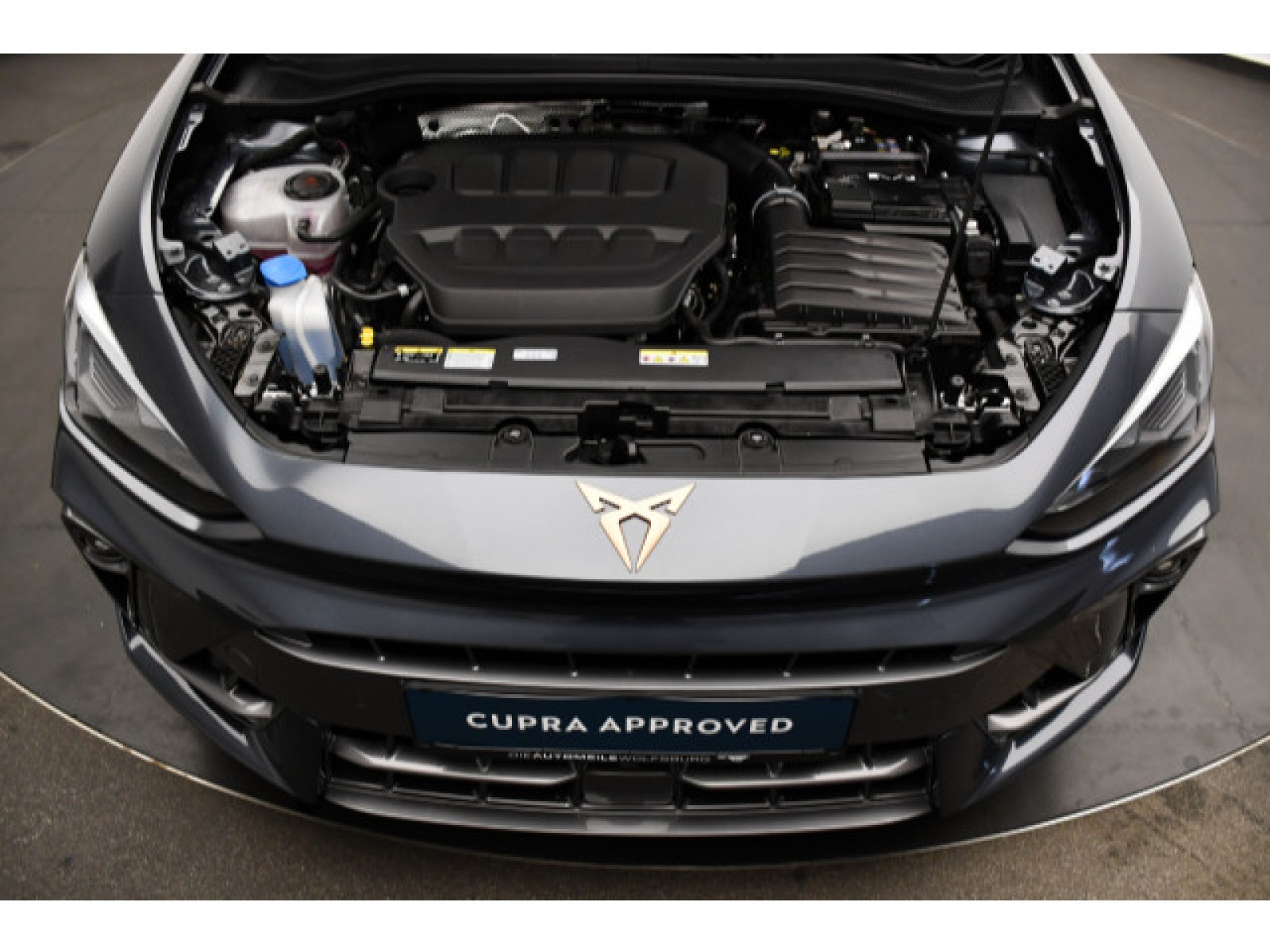 Cupra - Leon_14