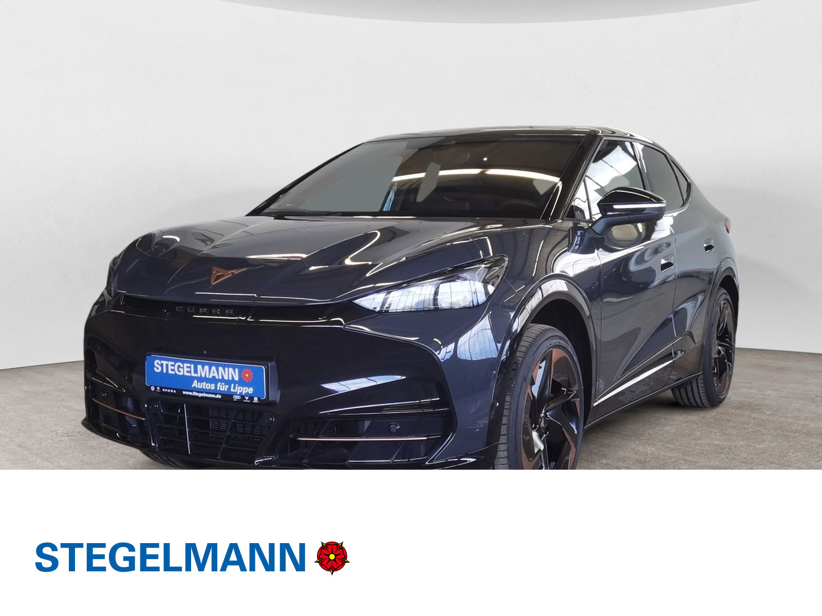 Fahrzeugbild_1