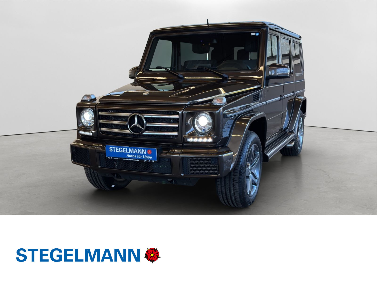 Mercedes-Benz - G 350_1