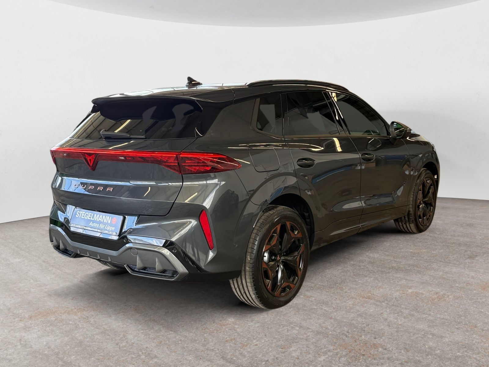 Cupra - Terramar_6
