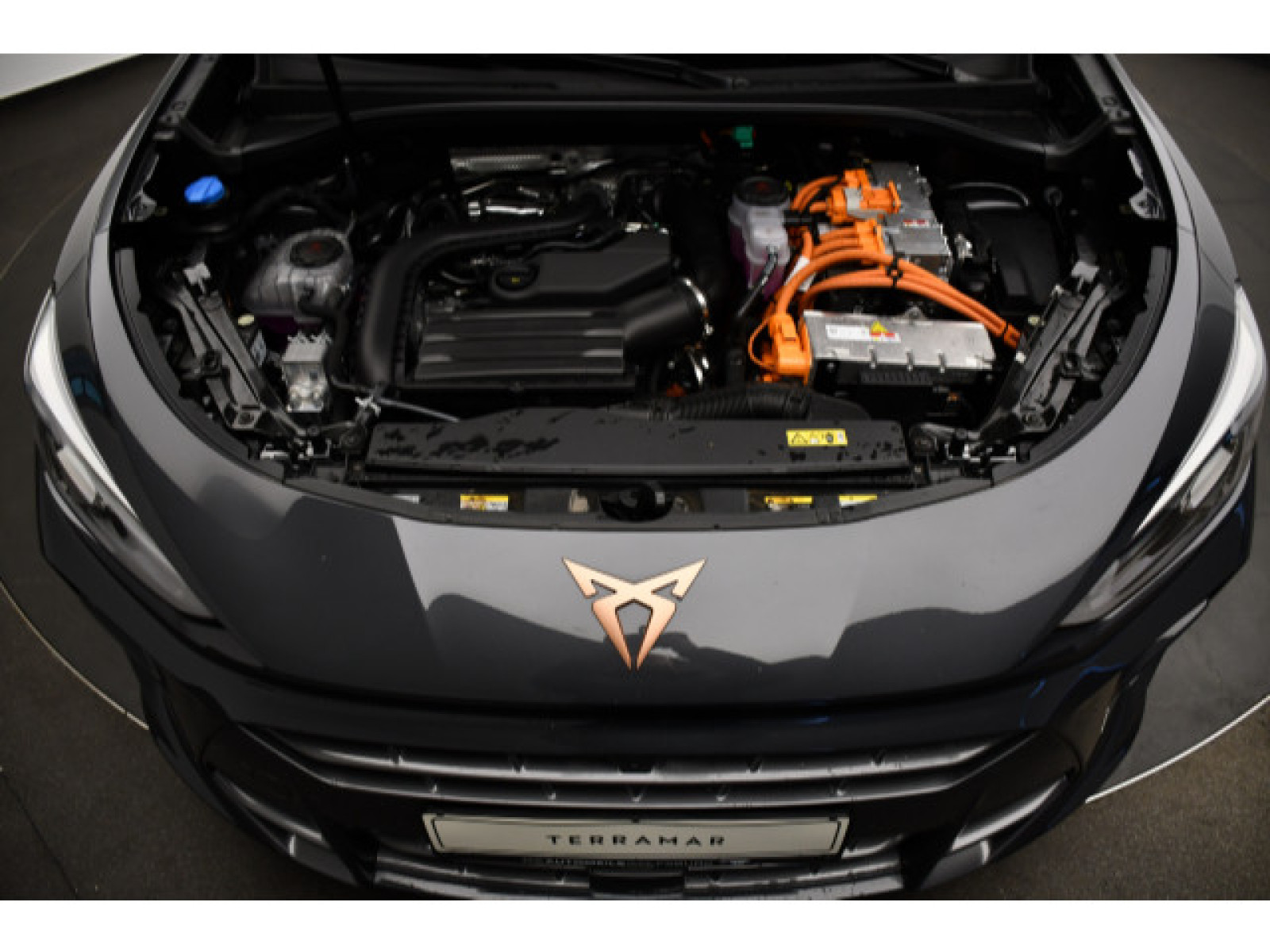Cupra - Terramar_11