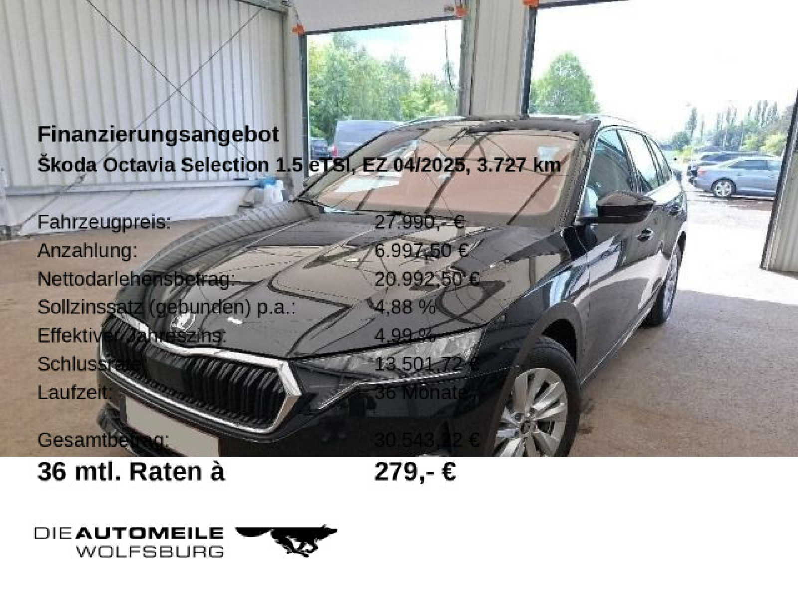 Fahrzeugbild_2