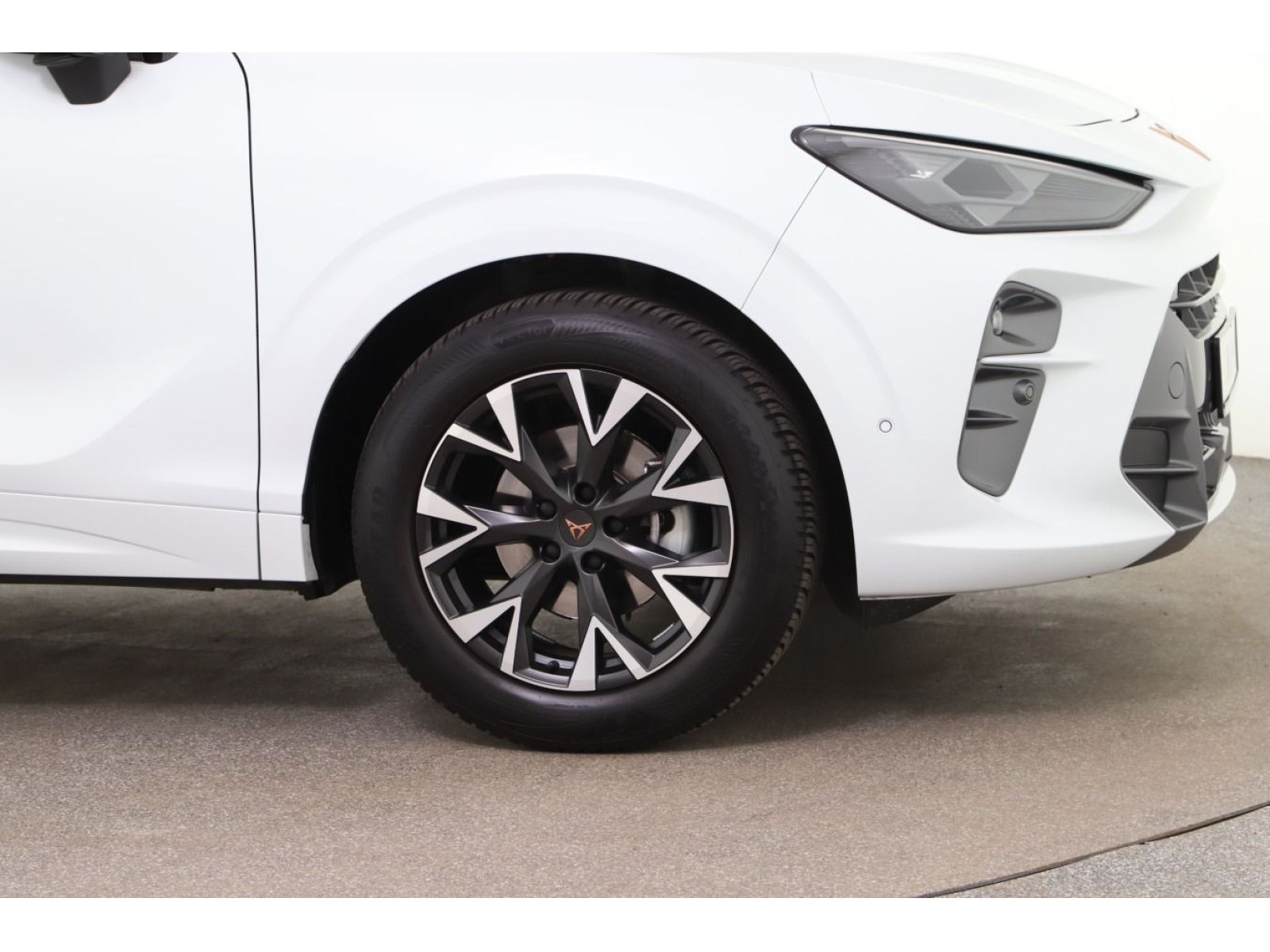Cupra - Terramar_3