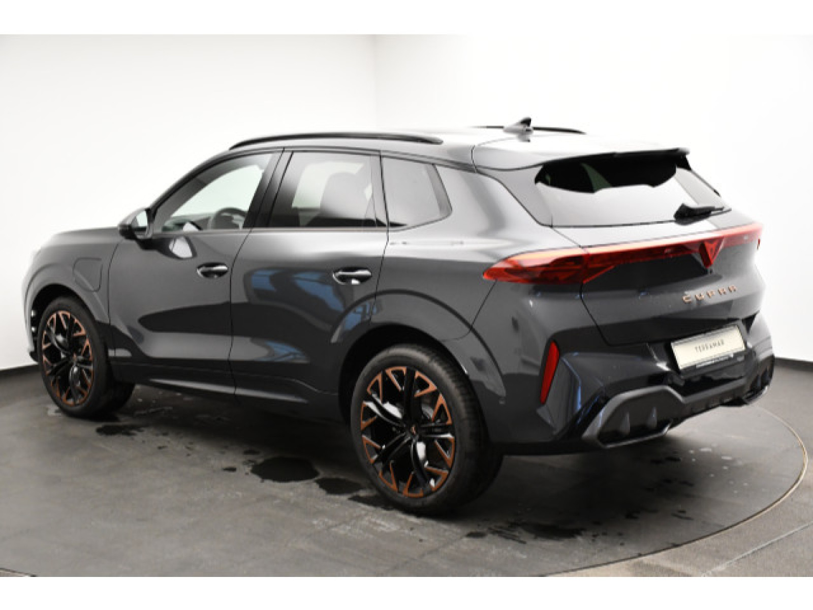 Cupra - Terramar_14