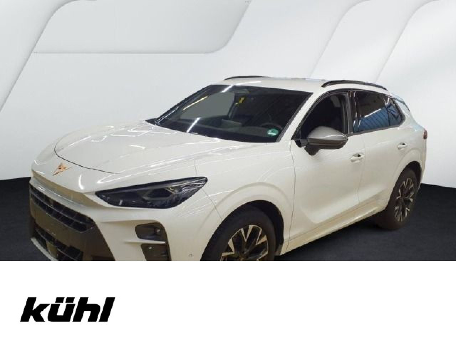 diagonal-frontansicht-aussen