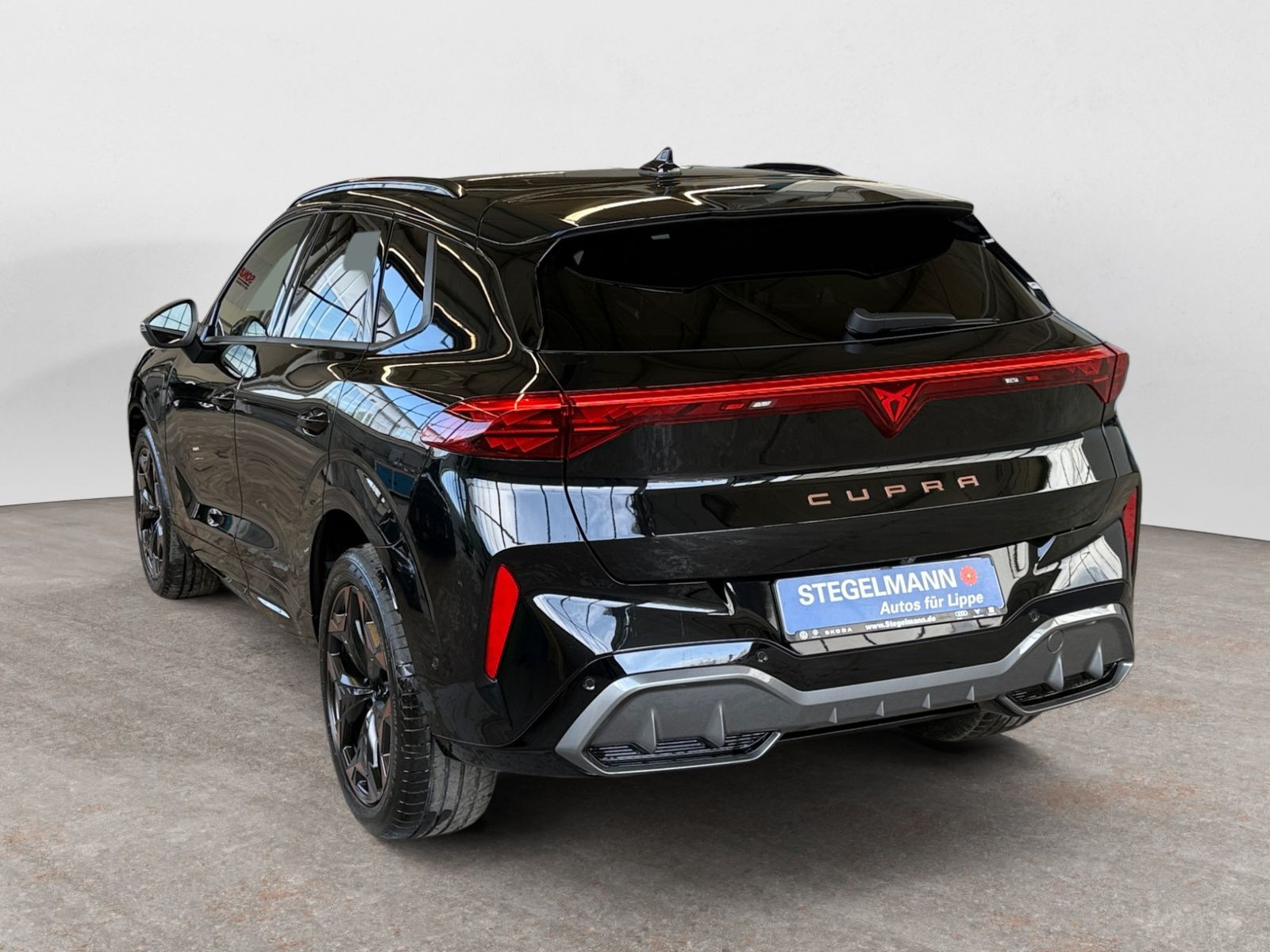 Cupra - Terramar_4