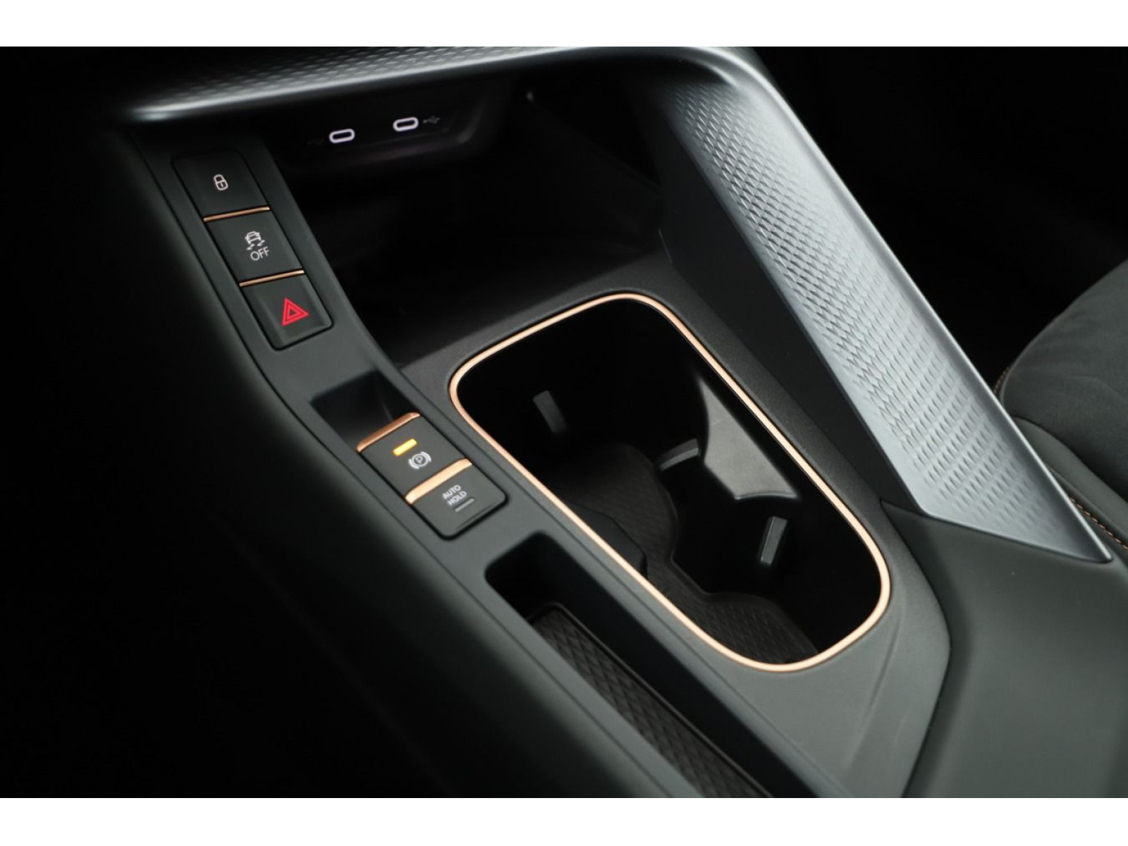 Cupra - Terramar_12