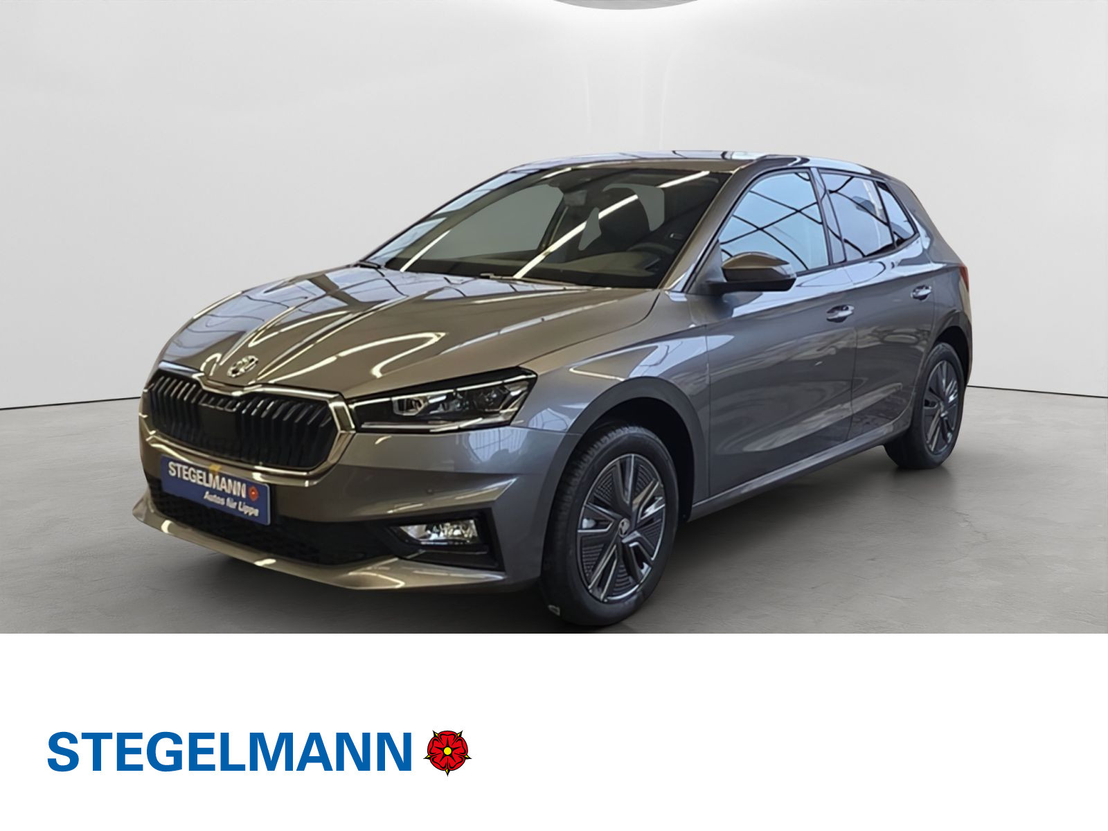 Fahrzeugbild_1