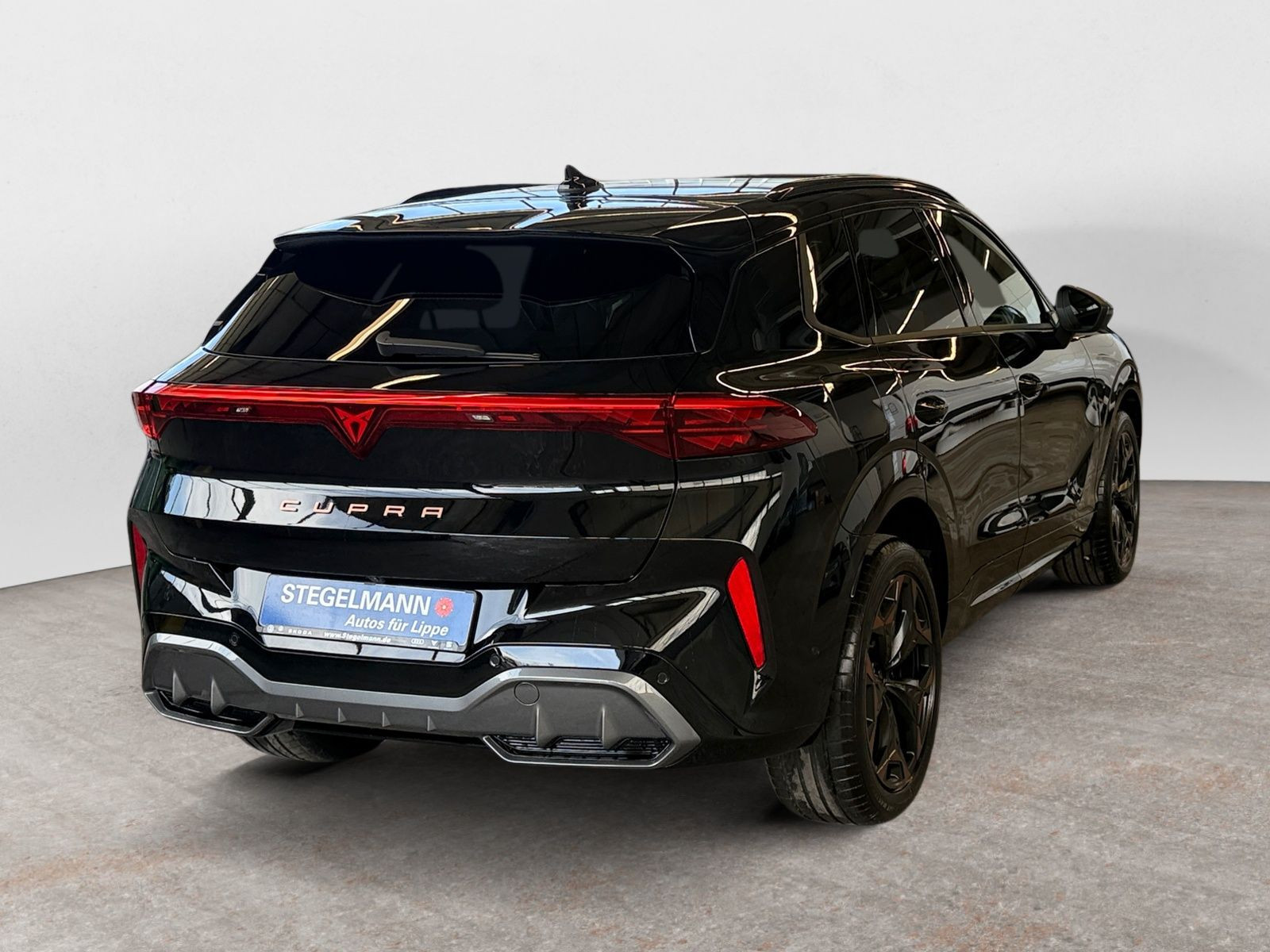 Cupra - Terramar_6