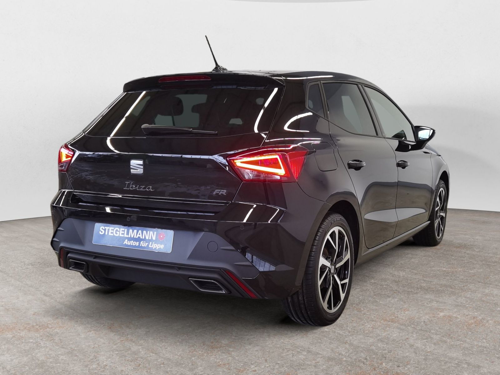 diagonalansicht-hinten-aussen