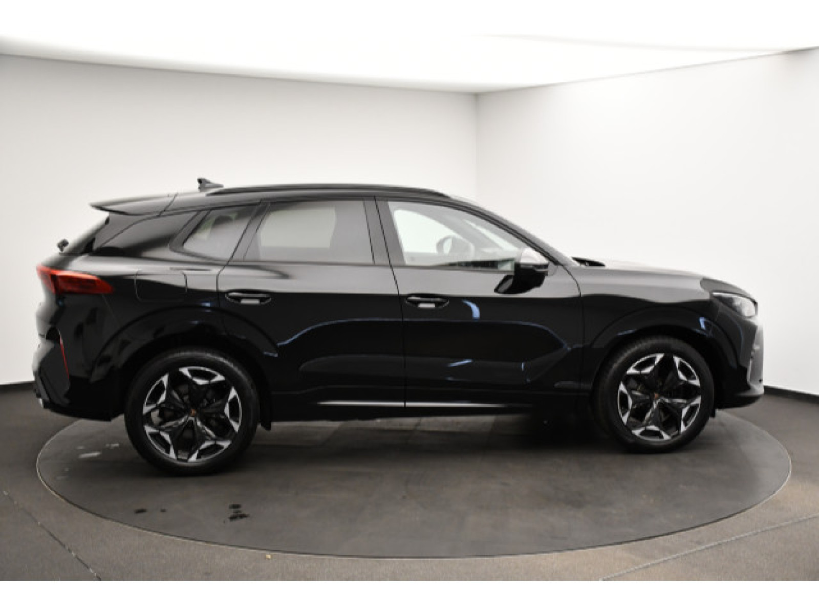 Cupra - Terramar_20