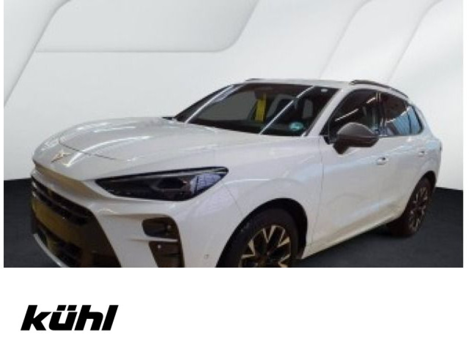 diagonal-frontansicht-aussen