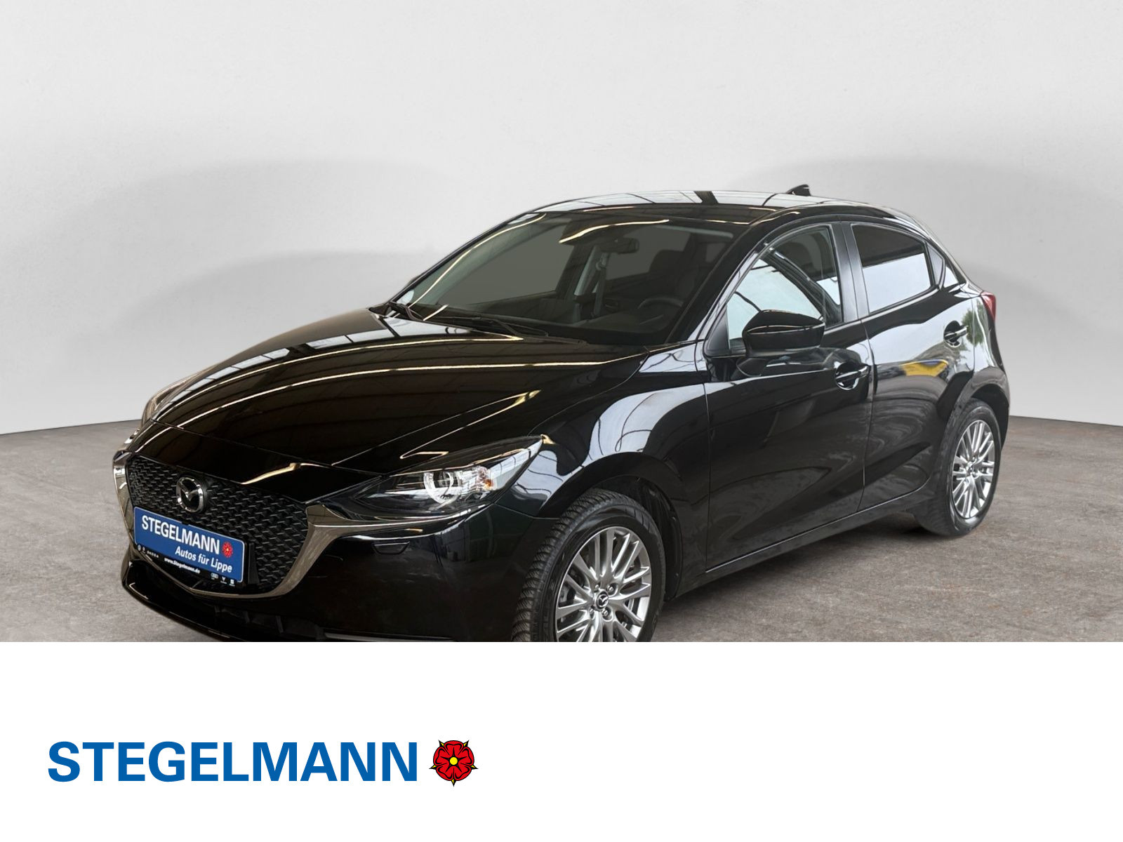 Fahrzeugbild_1