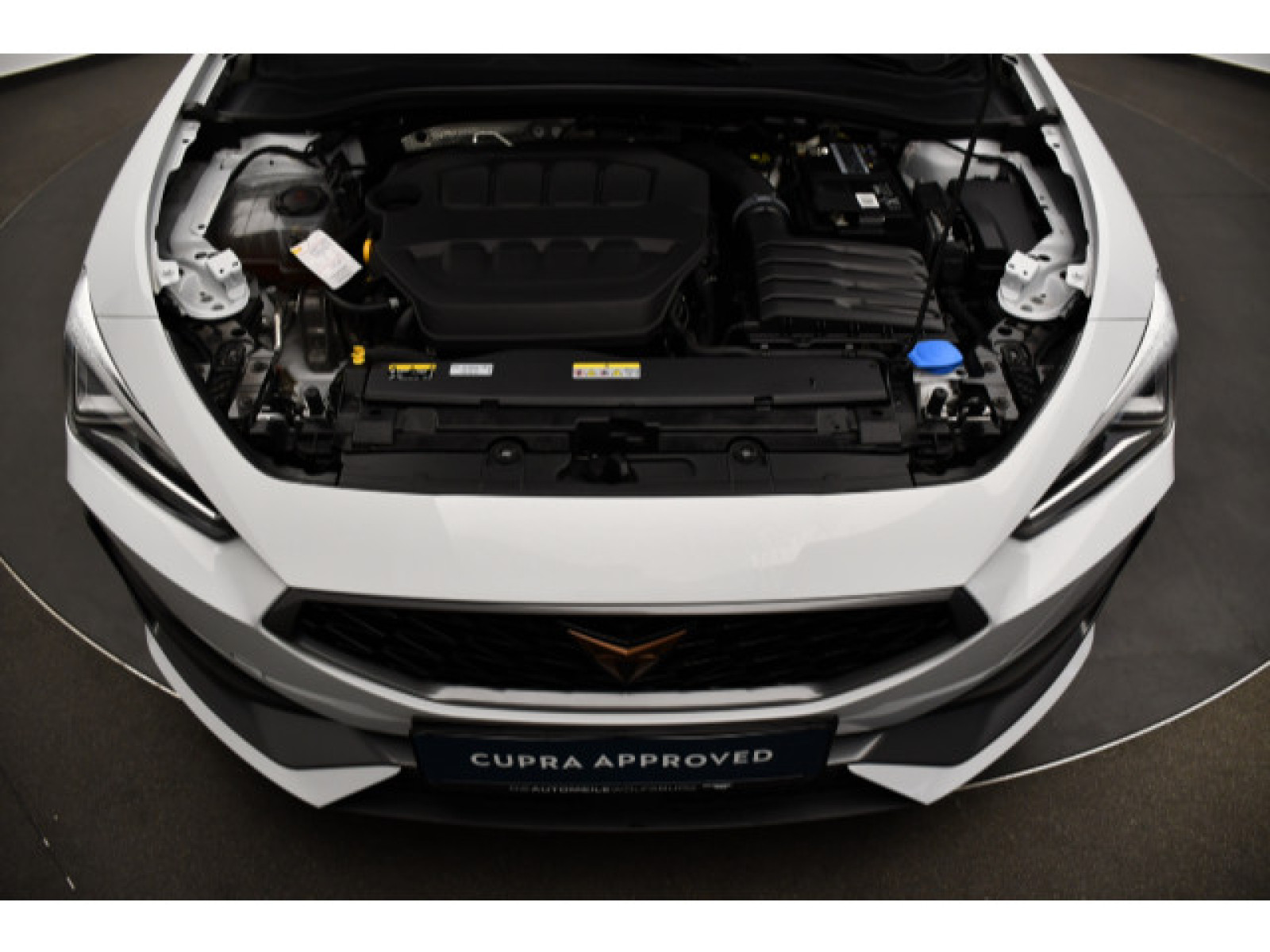 Cupra - Leon_12