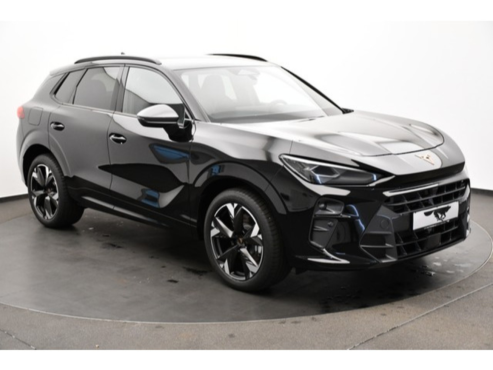 Cupra - Terramar_14