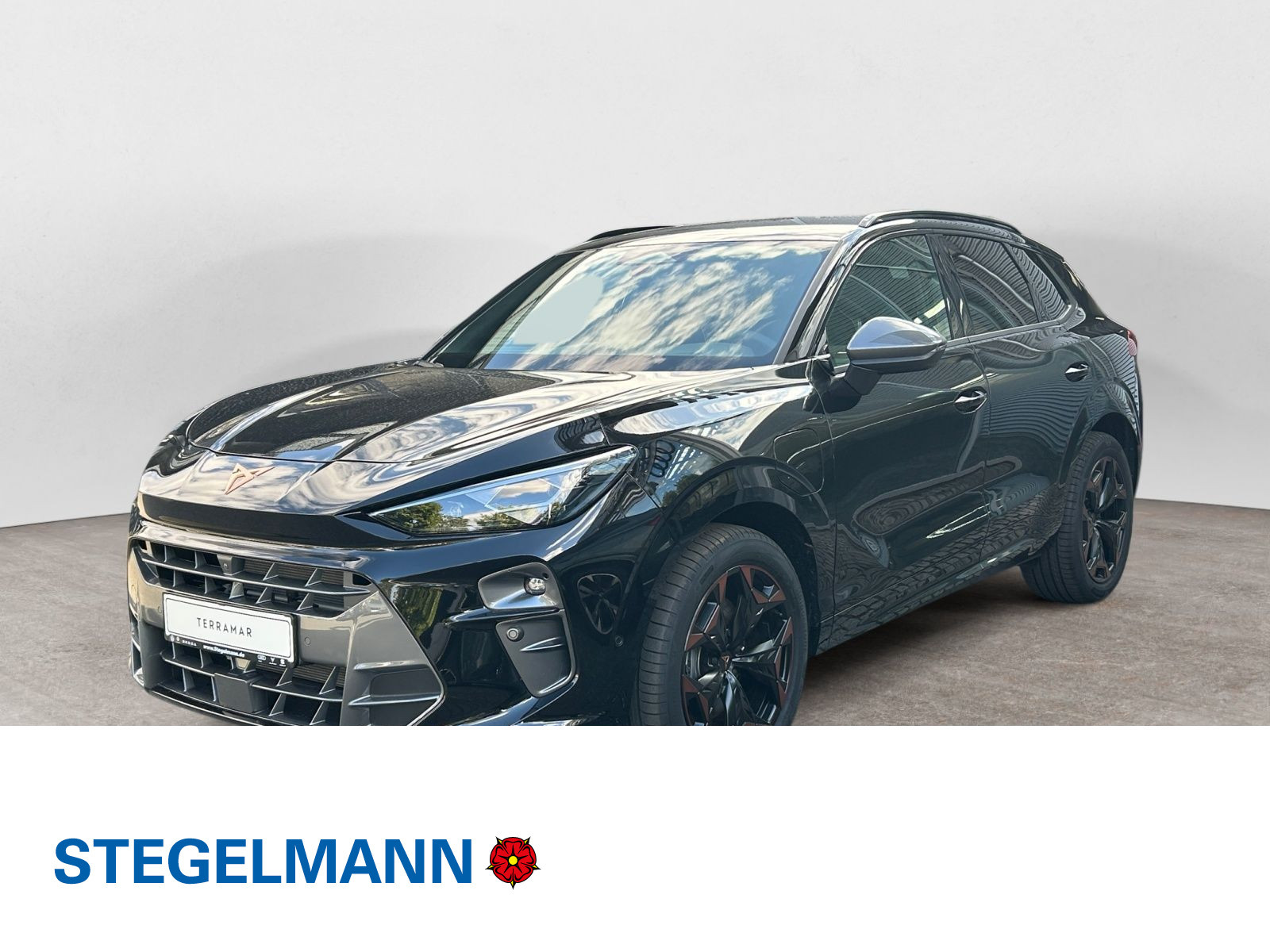 Cupra - Terramar_1