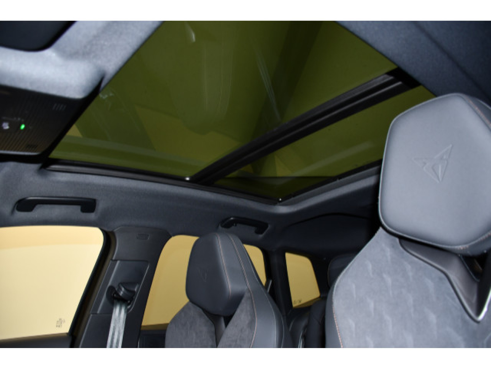 Cupra - Terramar_11