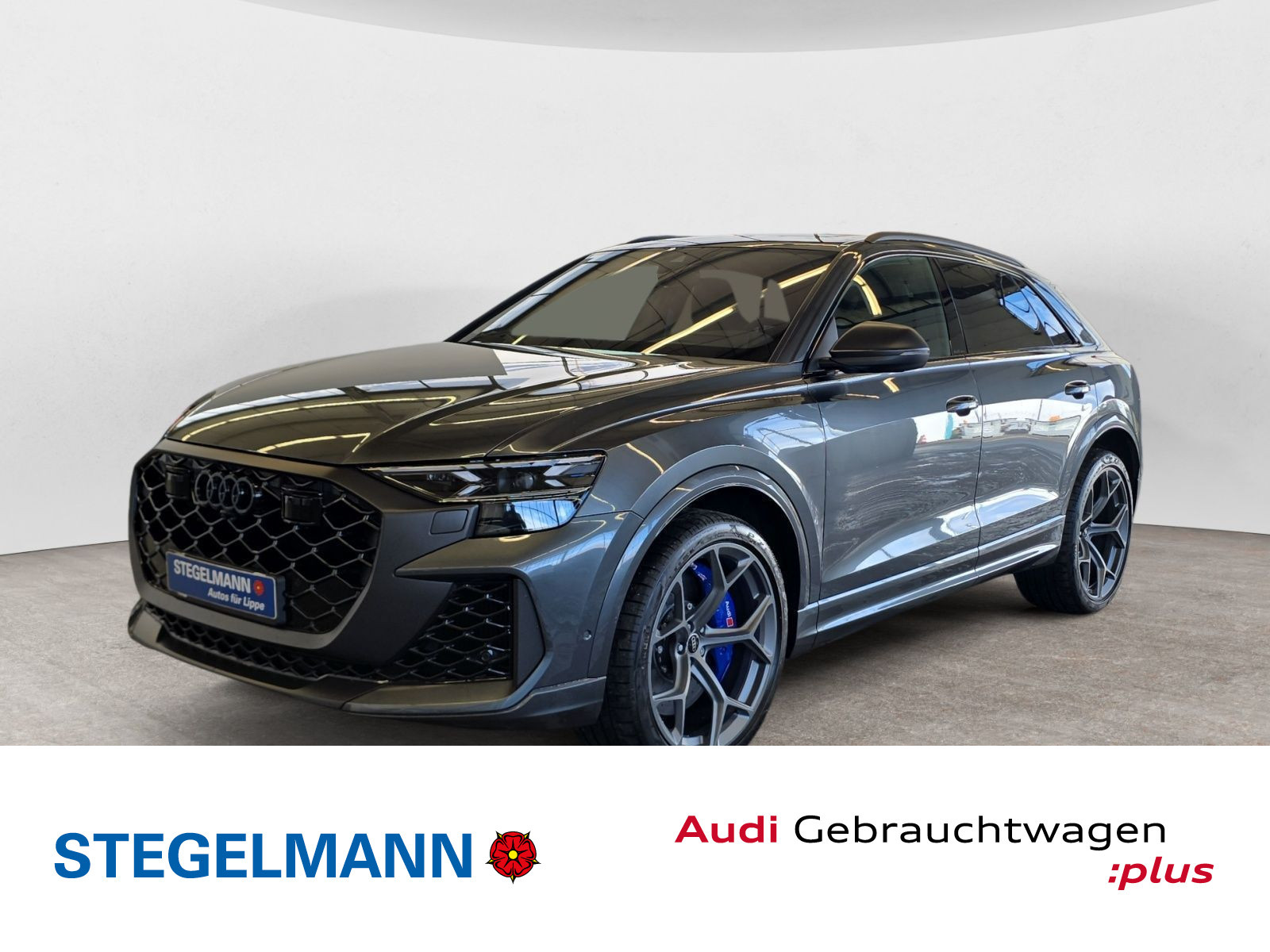 Audi - RS Q8_1