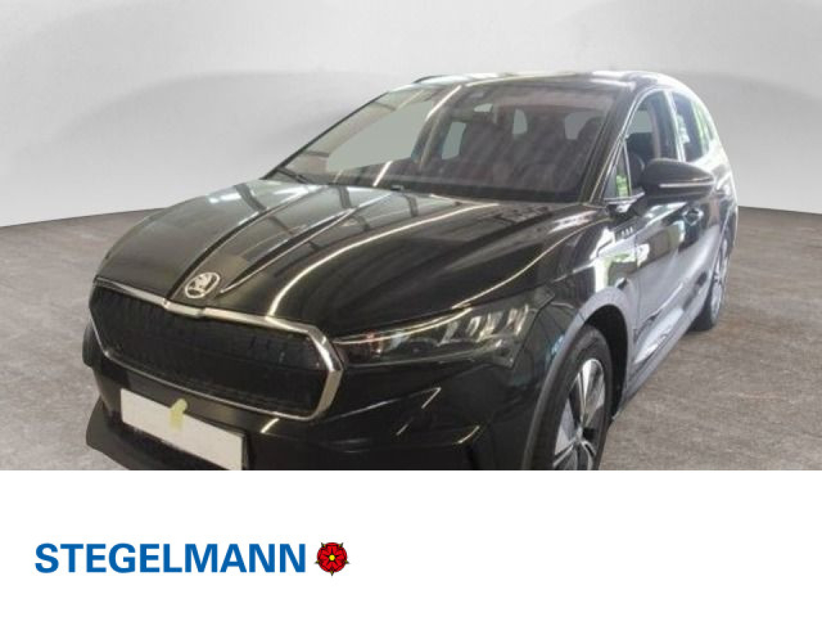 Fahrzeugbild_1
