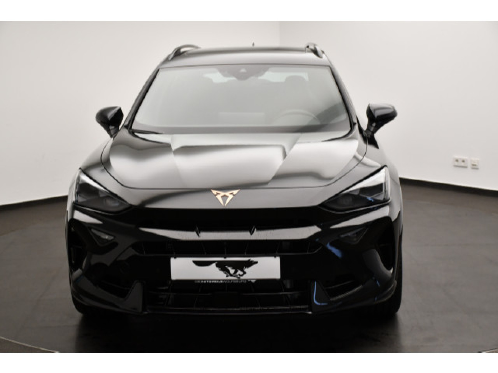 Cupra - Formentor_19