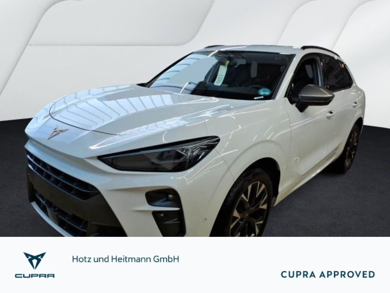 diagonal-frontansicht-aussen