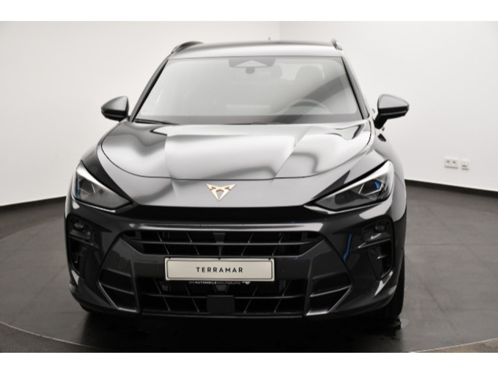 Cupra - Terramar_17