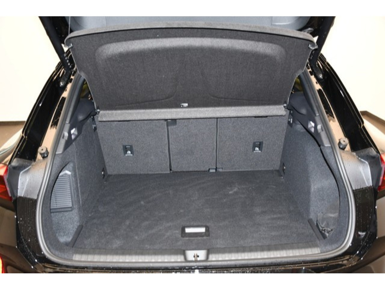 Cupra - Terramar_10