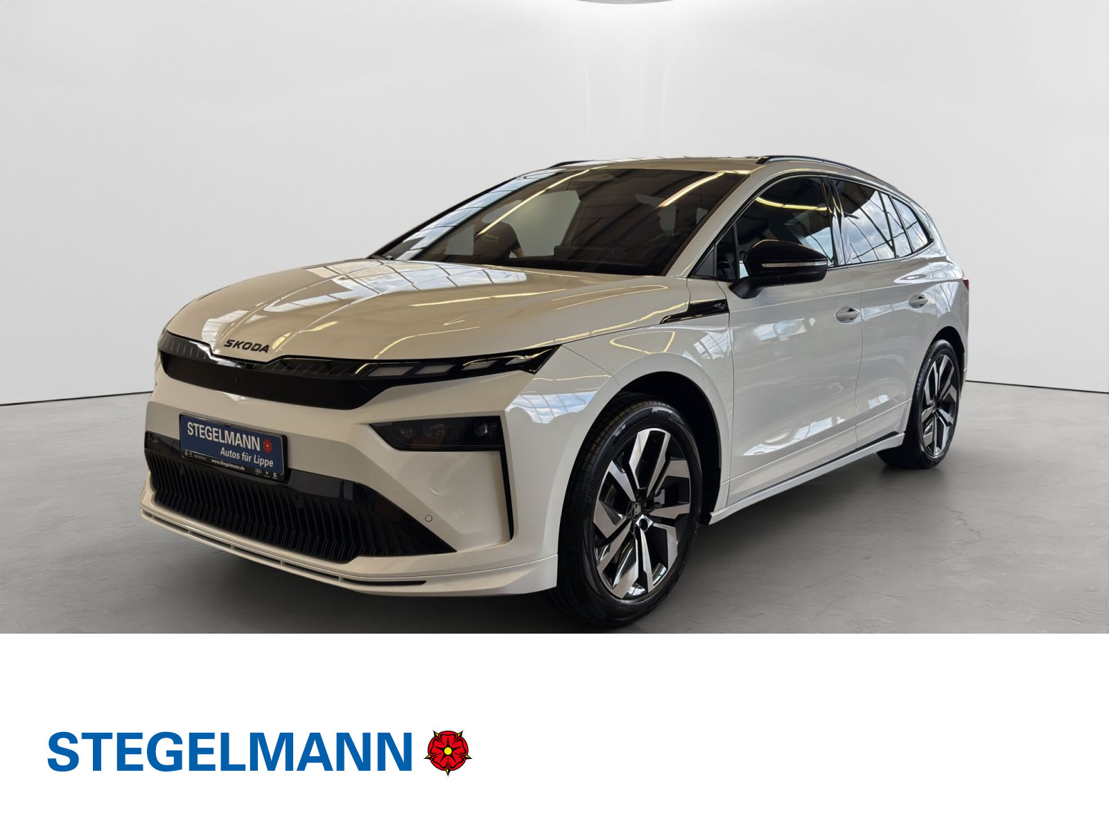 Fahrzeugbild_1