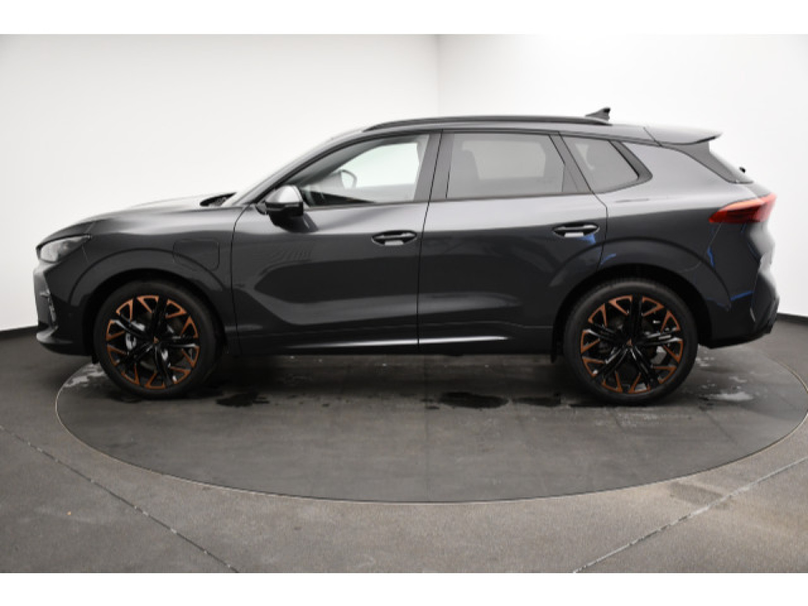 Cupra - Terramar_15