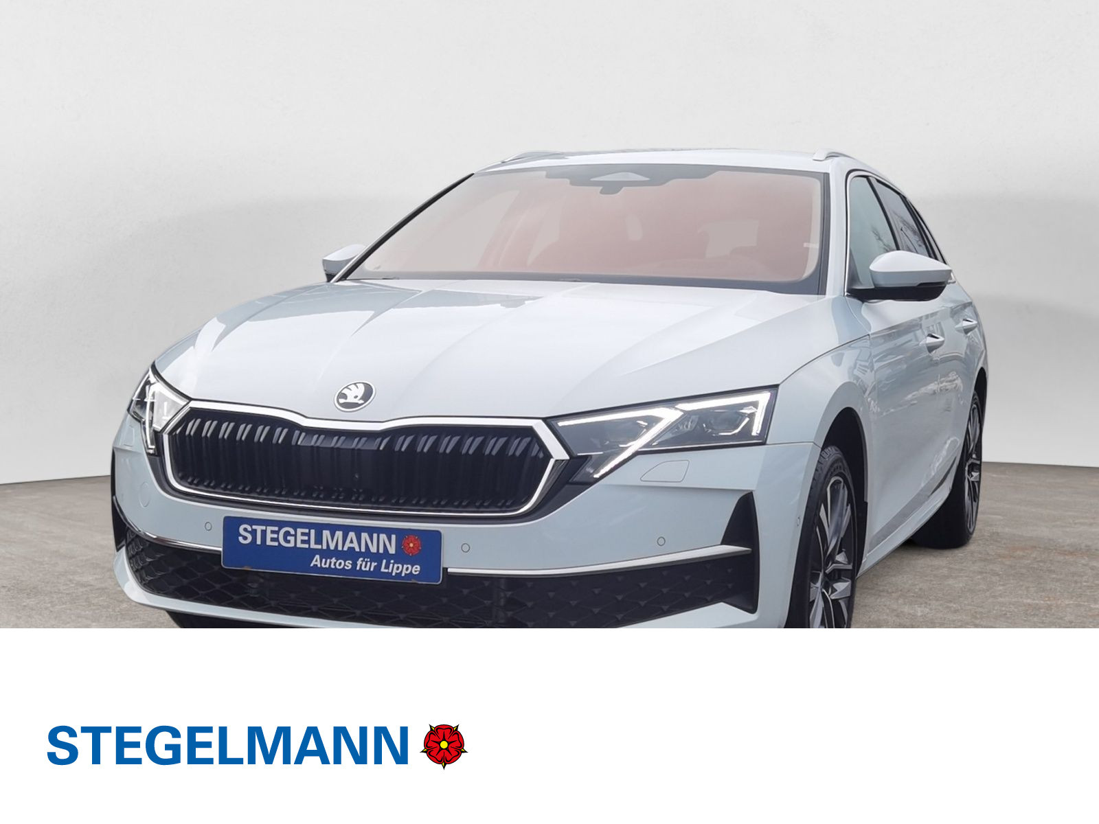 diagonal-frontansicht-aussen