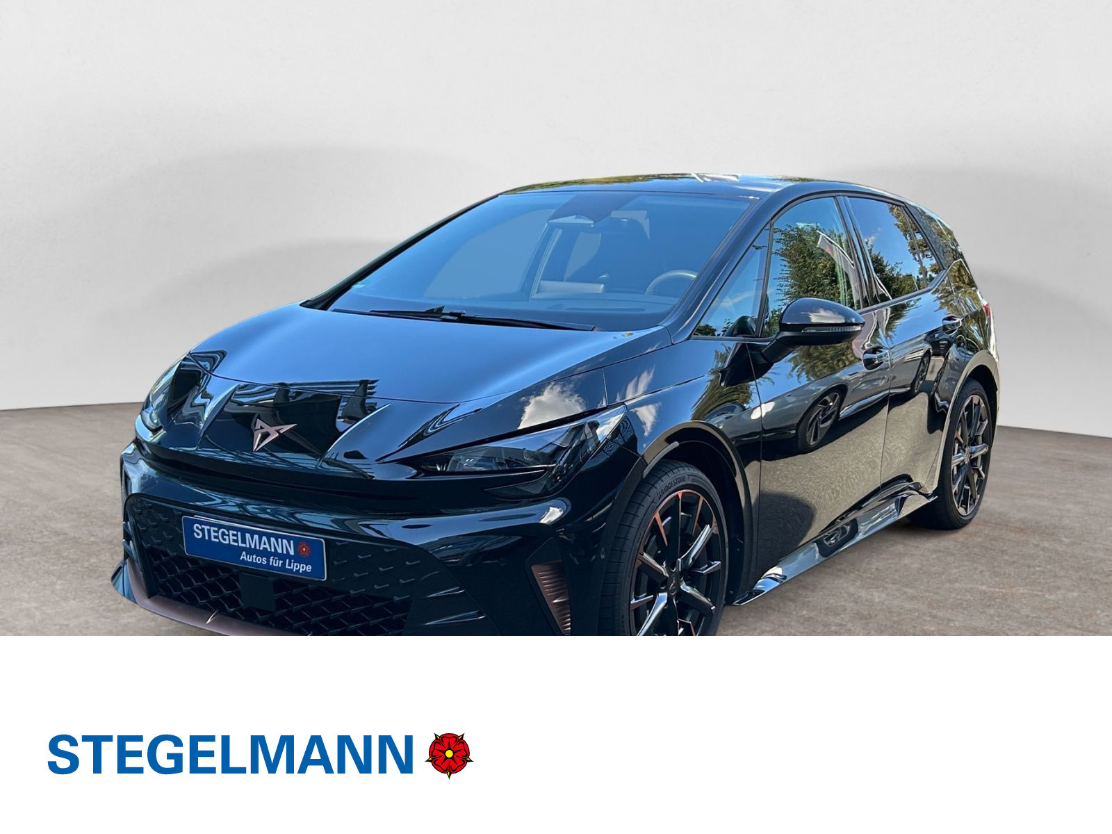Fahrzeugbild_1
