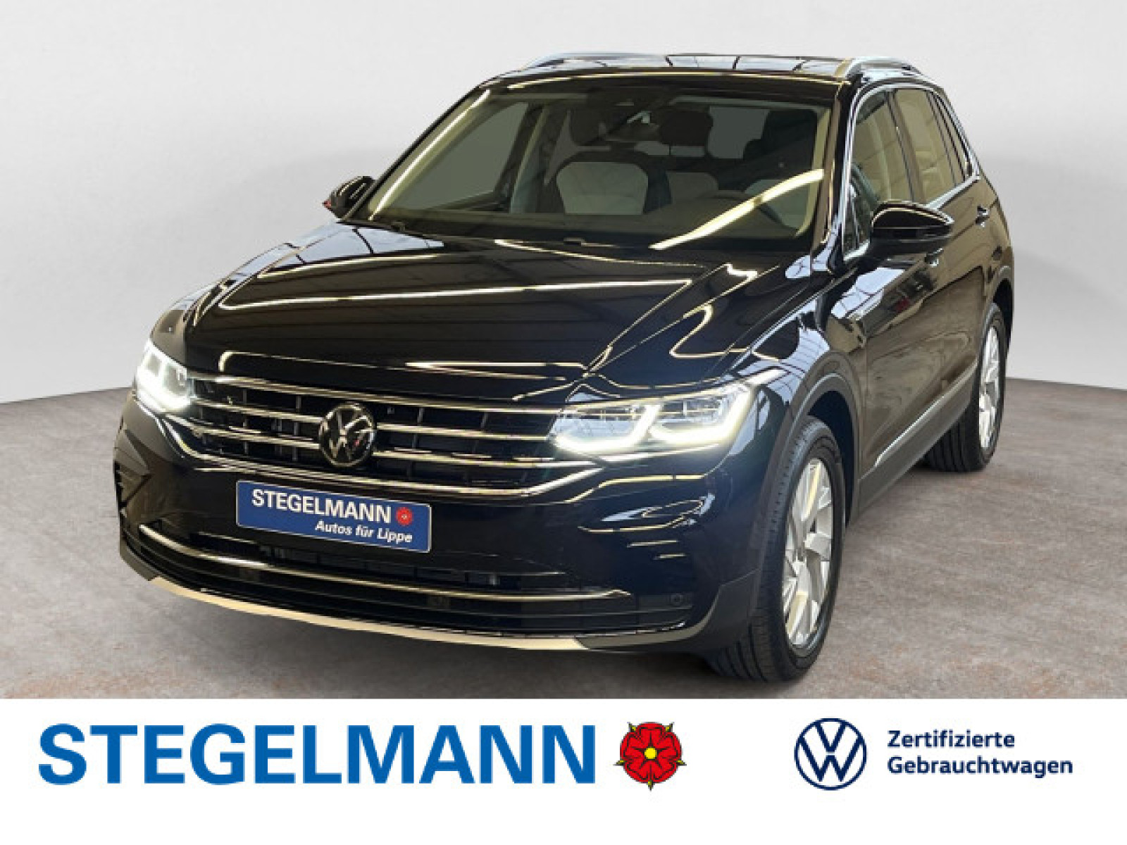 Volkswagen - Tiguan_1