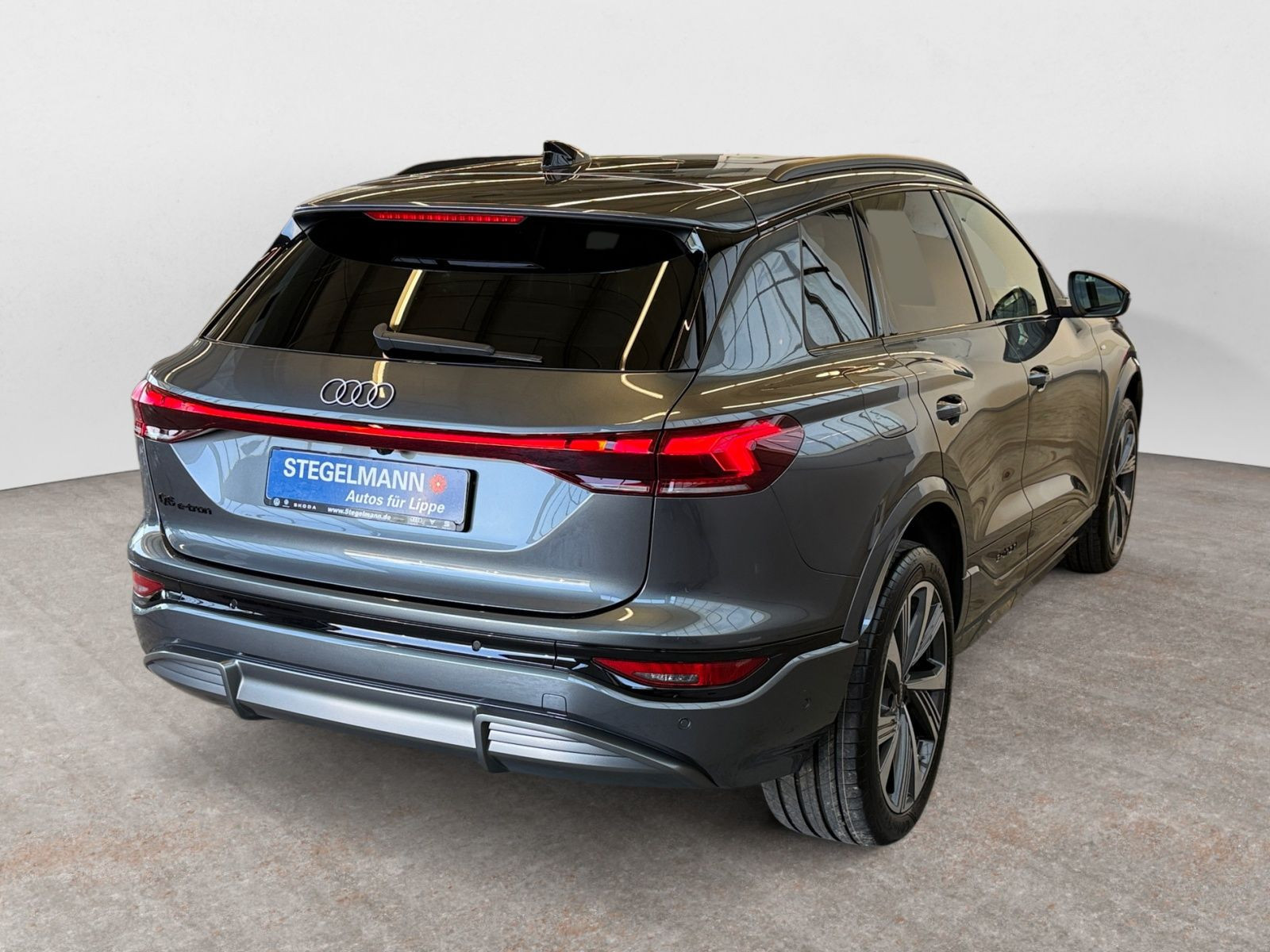 Audi - Q6 SUV e-tron_6