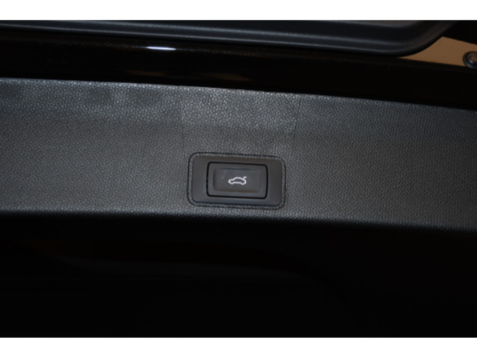 Cupra - Terramar_11