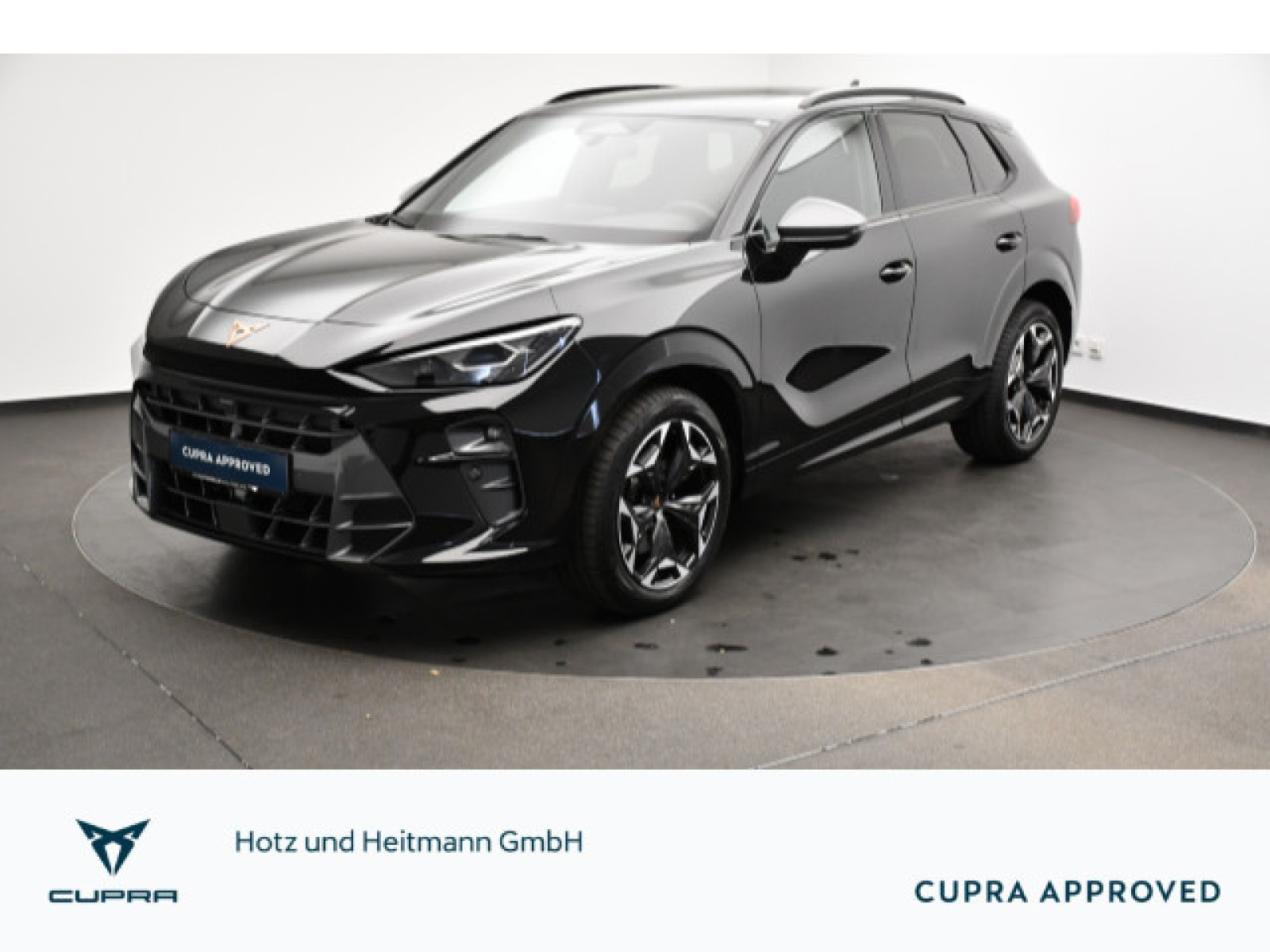 Cupra - Terramar_1