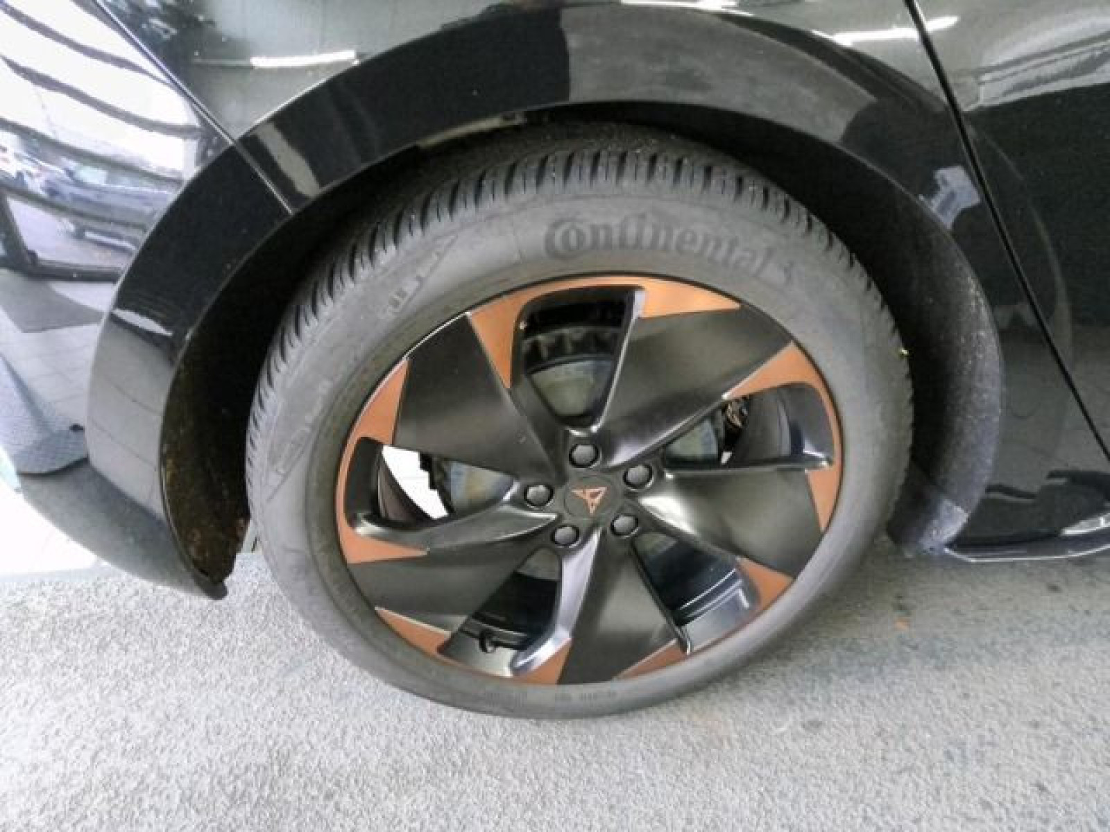 Fahrzeugbild_5